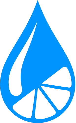 Zest Icon